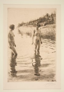 Flach von Anders Leonard Zorn