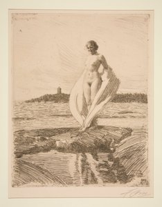 Der Schwan von Anders Leonard Zorn