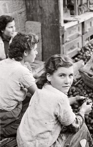 Das Lächeln eines jungen Mädchens, das Walnüsse schält, Quaglino, Neapel, Italien, um 1955