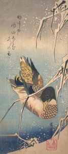 Eine Wildente an einem schneebedeckten Ufer, ca. 1843 von Ando Hiroshige