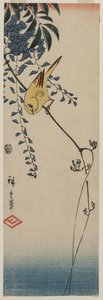 Kanarienvogel und Glyzinie, Mitte der 1840er Jahre von Ando Hiroshige