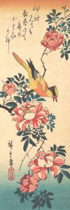 Östliche Grauwasserstelze und Rose, frühe 1830er Jahre von Ando Hiroshige