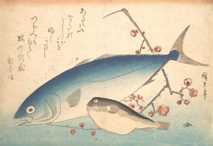 Fugu und Inada Fisch, aus der Serie Uozukushi Jede Fischart, 1840er Jahre von Ando Hiroshige