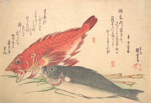 Isaki und Kasago Fisch, aus der Serie Uozukushi Jede Fischart, 1830er Jahre von Ando Hiroshige