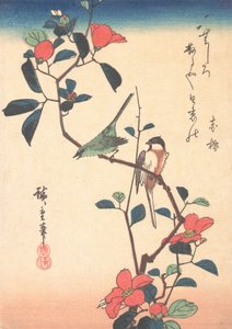 Japanische Weißaugen und Meise auf einem Kamelienzweig, ca. 1840 von Ando Hiroshige