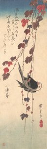 Schwanzmeise auf Herbst-Efeu von Ando Hiroshige