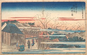 Morgenkirschen in Yoshiwara