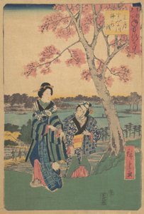 Pflaumenblütenbesichtigung im dritten Monat am Sumida-Fluss aus der Serie Jahresereignisse