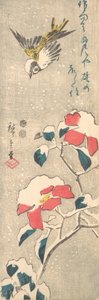 Spatz und schneebedeckte Kamelie (Tsubaki)