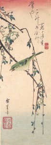 Grasmücke auf einem Pflaumenzweig, ca. 1835 von Ando Hiroshige