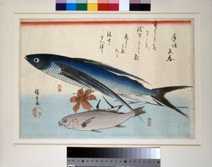 Fliegender Fisch, Ishimochi-Fisch und Lilie