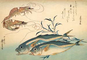 Japanische Pferdemakrele und japanische Tiger-Garnele von Ando or Utagawa Hiroshige
