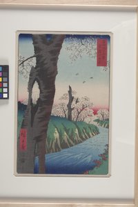 Koganei in der Provinz Musashi