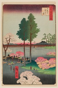 Suwa-Klippe, Nippori