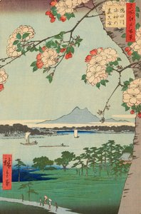 Die Suijin-Wälder und Massaki am Sumida-Fluss