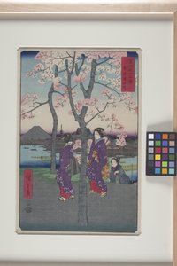 Das Sumida-Ufer in der östlichen Hauptstadt (T?to: Sumida Tei) von Ando or Utagawa Hiroshige