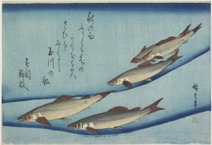 Forelle von Ando or Utagawa Hiroshige