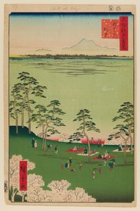 Blick nach Norden von Asukayama von Ando or Utagawa Hiroshige