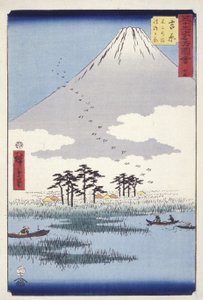 Yoshiwara: Fujinonuma Ukishimagahara von Ando or Utagawa Hiroshige