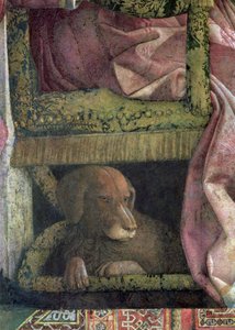 Rubino, der Lieblingshund von Marchese Ludovico Gonzaga III von Mantua und seiner Familie, aus der Camera degli Sposi oder Camera Picta (Detail)