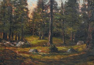 Andrea Tavernier Die Lichtung von Andrea Tavernier