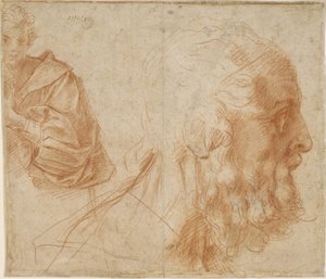 Ein Jüngling und der Kopf eines alten Mannes Homer. Studie, ca. 1521 von Andrea del Sarto