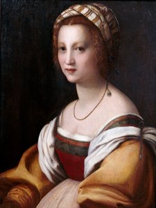 Porträt einer Frau von Andrea del Sarto