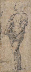 Stehender Jüngling, der ein Buch hält, ca. 1515 von Andrea del Sarto
