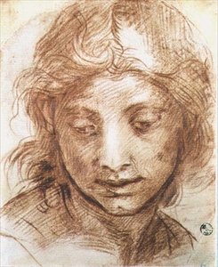 Studie des Kopfes einer jungen Frau von Andrea del Sarto