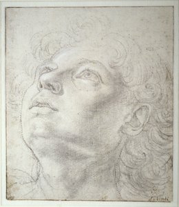 Engelskopf von Andrea del Verrocchio