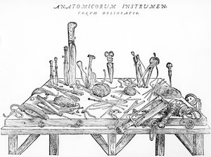 Instrumente für Dissektionen, Illustration aus 