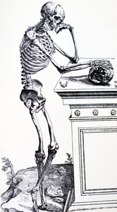 Menschliches Gerippe mit Totenkopf in der Hand. Aus "De Humani Corporis Fabrica" von Vesalius. Möglicher Holzschneider: Jan von Calcar