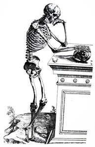 Die Platten aus dem siebten Buch der De Humani Corporis Fabrica