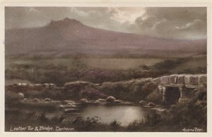 Leather Tor und Brücke, Dartmoor