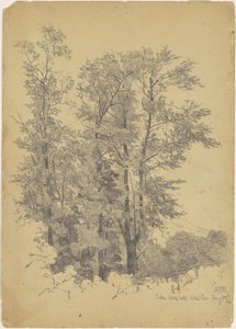 Eichen, Wolf Hill, Ulster County