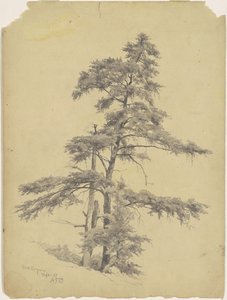 Bäume, West Virginia von Andrew Fisher Bunner