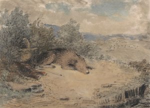 Schäferhund schläft in einer Landschaft