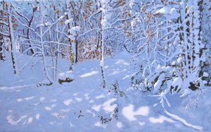 November Schnee, Allestree Woods, Derby von Andrew Macara