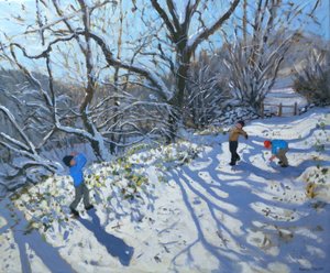 Schneeballschlacht, 2007 von Andrew Macara