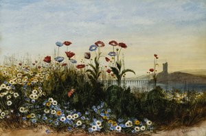 Ferry Carrig Castle, Co. Wexford, durch eine Blumenbank gesehen
