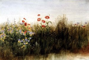 Wildblumen an einem Bach