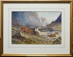 Hirsche überqueren den Fluss Coe von Andrew Scott Rankin