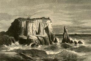 Küstenszene, Marin County, 1872