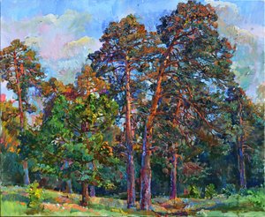 Sonnenbeschienene Kiefern von Andrii Kutsachenko