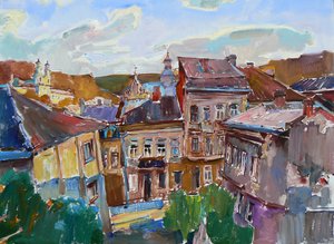 Lebendige Stadtdächer