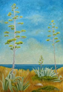 Agave am Ozean von Angeles M. Pomata