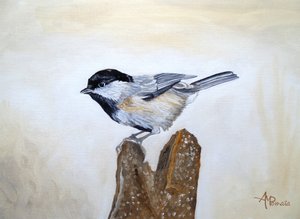 Meise auf Holzstumpf