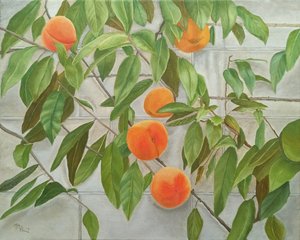 Frische Pfirsiche an der Wand von Angeles M. Pomata