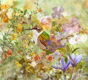 Kolibri Gartenblumen