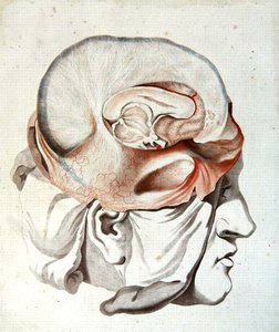 Der Schädel, aus 